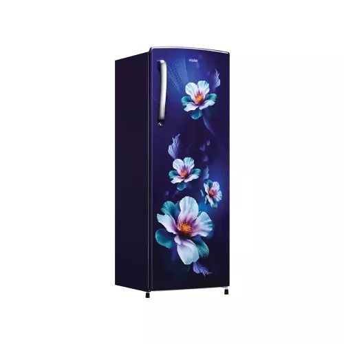 haier-253-l-single-door-direct-cool-refrigerator-2-star-marine-karen-hrd-2742cmka-n