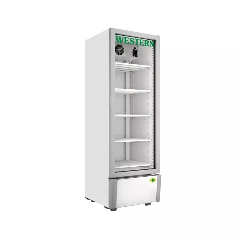 Western 340 L Single Door Visi Cooler, SRC380HCF-GL