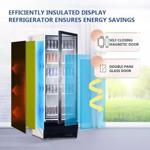 ROCKWELL 285 L Single Door Glass Visi Cooler, RVC300B