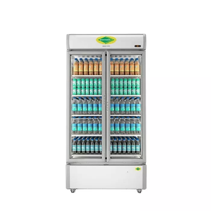 WESTERN Vertical Freezer 807 L Double Door with 10 Sleeves, SRC950HCT-GL