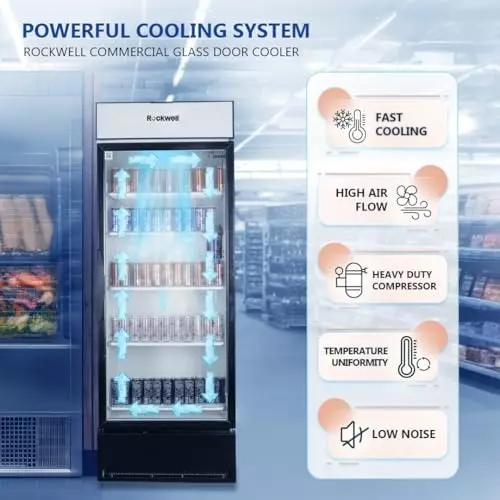 ROCKWELL 597 L Single Door Glass Visi Cooler, RVC700B