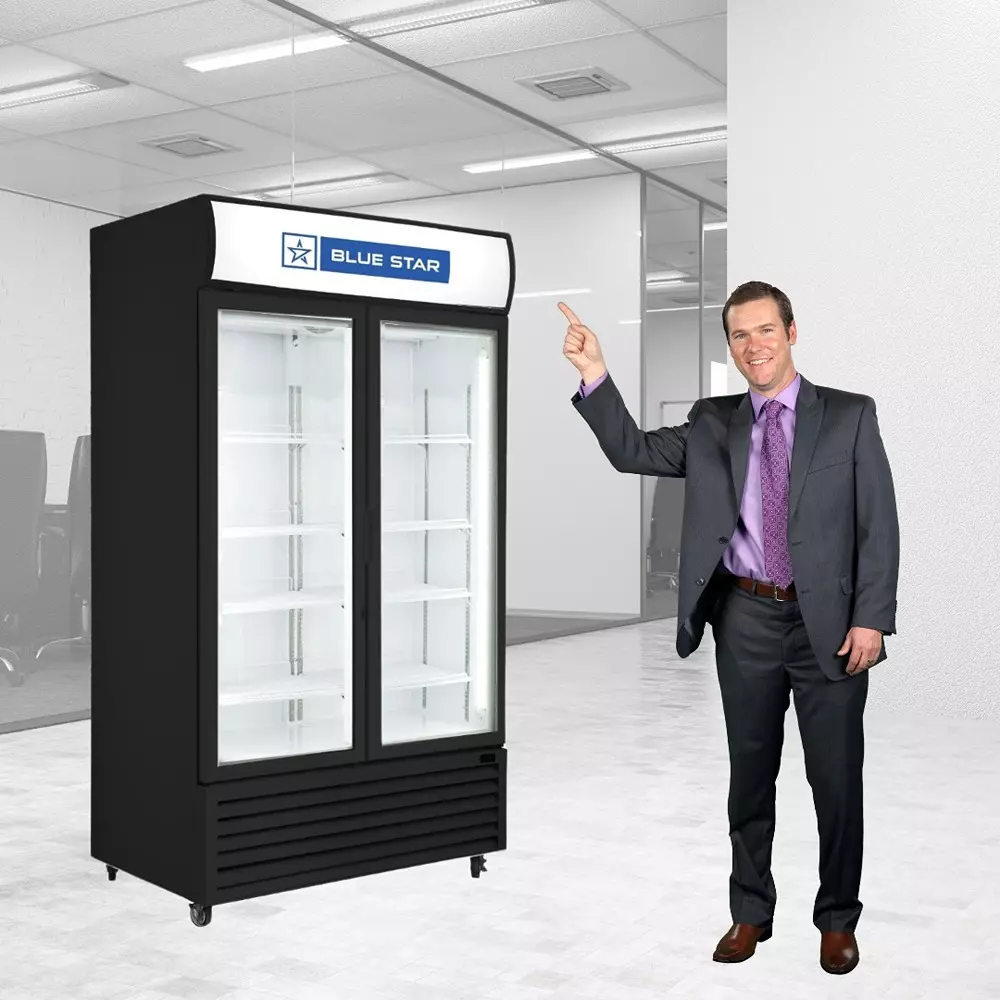 Blue Star 730 L Visi Cooler Double Door Temperature Range +1°C to +10°C in Black Color, VC800CD-B