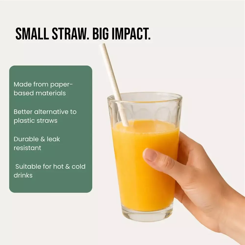 eco-aaroyaa-paper-straw-white-round-shape-9-cm-length-8-mm-diameter-for-cold-beverages-pack-of-200-pcs