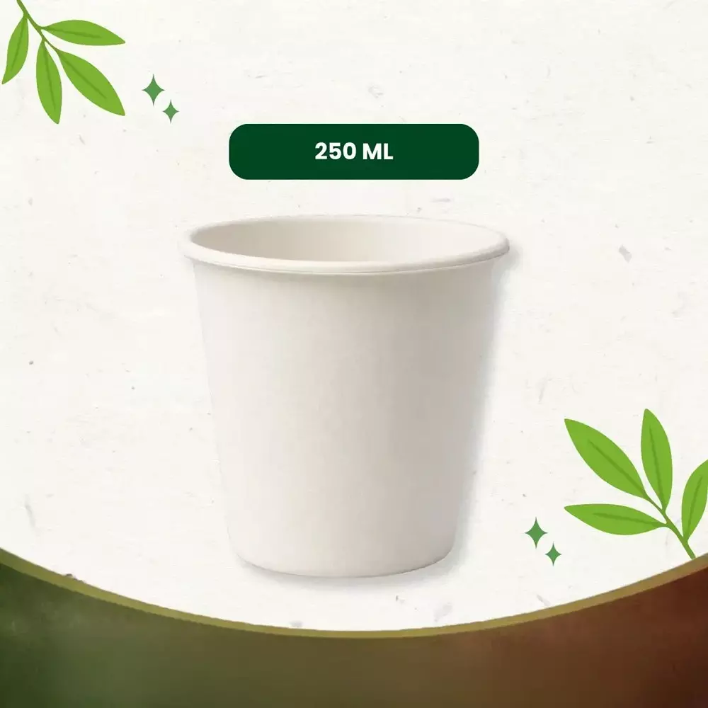 eco-aaroyaa-disposable-cup-glass-sugarcane-bagasse-white-250-ml-for-serving-water-juice-soft-drinks-tea-and-other-refreshments-pack-of-25-pcs