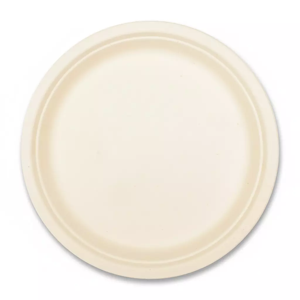 Origami Pulp Plates 152 mm (6 inch) Biodegradable & Eco-friendly Sugarcane Paper White, 1291 (Pack of 10 Packets)