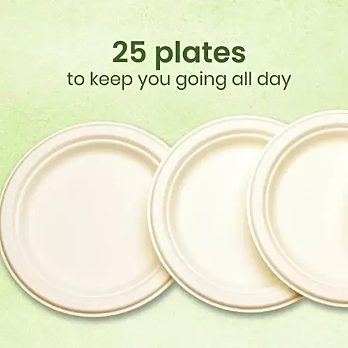 Origami Pulp Plates 152 mm (6 inch) Biodegradable & Eco-friendly Sugarcane Paper White, 1291 (Pack of 10 Packets)