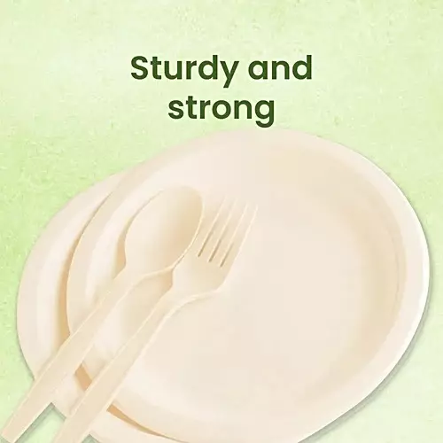 Origami Pulp Plates 152 mm (6 inch) Biodegradable & Eco-friendly Sugarcane Paper White, 1291 (Pack of 10 Packets)