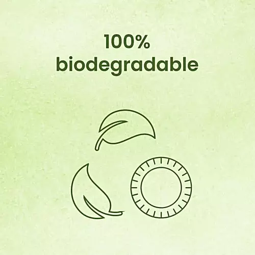 Origami Pulp Plates 152 mm (6 inch) Biodegradable & Eco-friendly Sugarcane Paper White, 1291 (Pack of 10 Packets)