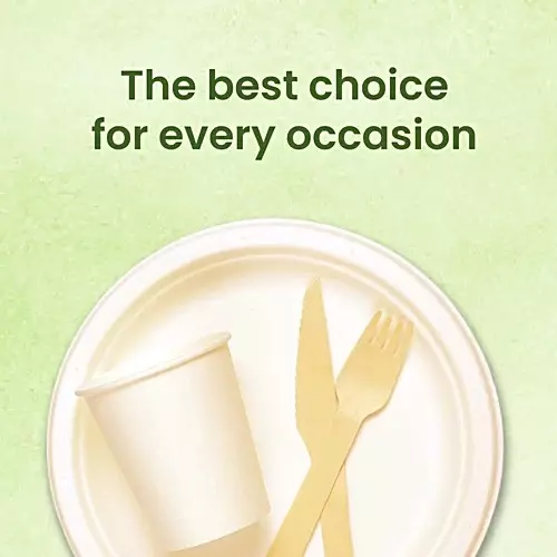 Origami Pulp Plates 152 mm (6 inch) Biodegradable & Eco-friendly Sugarcane Paper White, 1291 (Pack of 10 Packets)