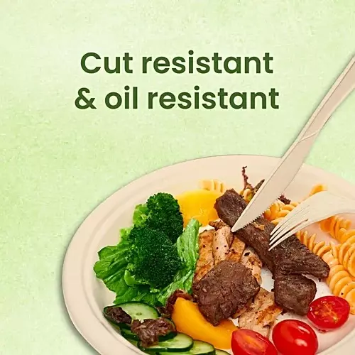 Origami Pulp Plates 152 mm (6 inch) Biodegradable & Eco-friendly Sugarcane Paper White, 1291 (Pack of 10 Packets)