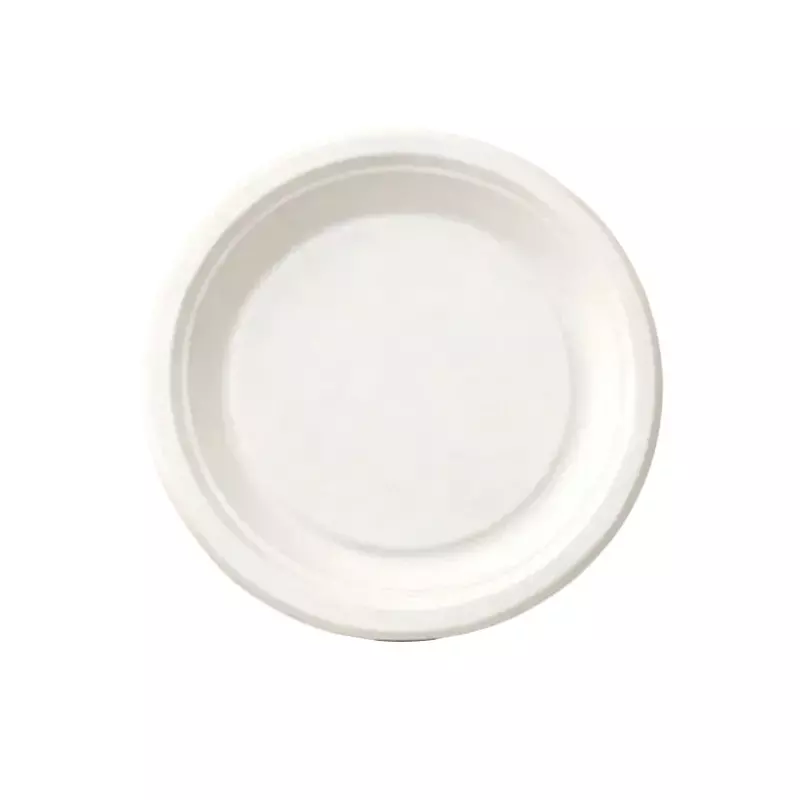 Eco Aaroyaa 1 Compartment Disposable Plate Sugarcane Bagasse Matte White Round 7 Inch (17.78 cm) for Serving Snack & Foods, (Pack of 50 Pcs)