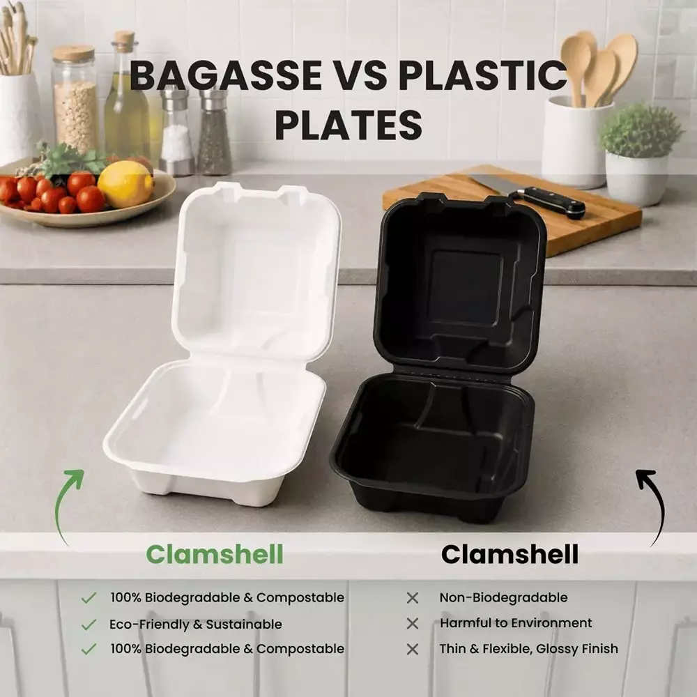 eco-aaroyaa-9x9-clamshell-container-sugarcane-bagasse-white-for-serving-snack-dinner-foods-pack-of-50-pcs