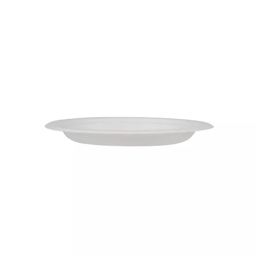 generic-2286-mm9-inch-disposable-bagasse-plate-eco-friendly-and-biodegradable-pack-of-100