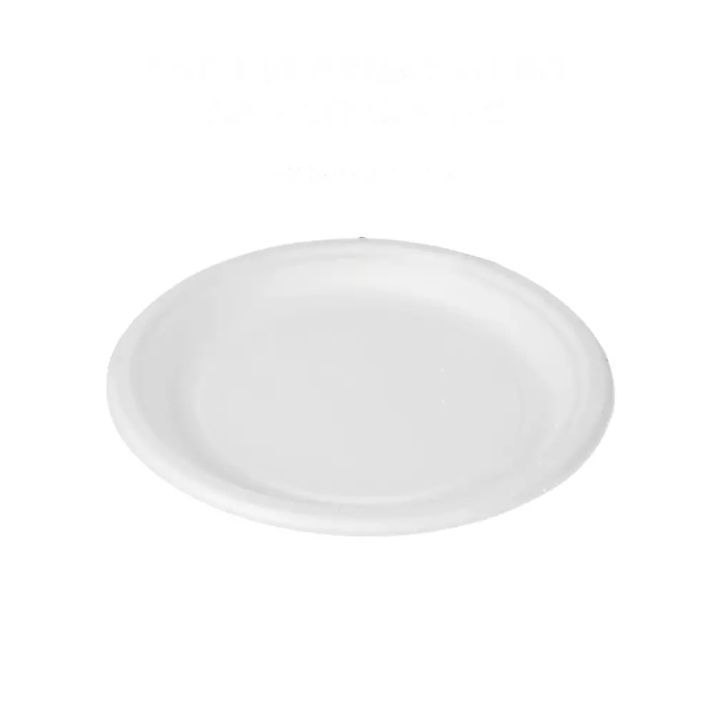 Eco Infinity Disposable Dinner Plate Round White 279.4 mm (11 Inch) Plate Size (Pack of 100)