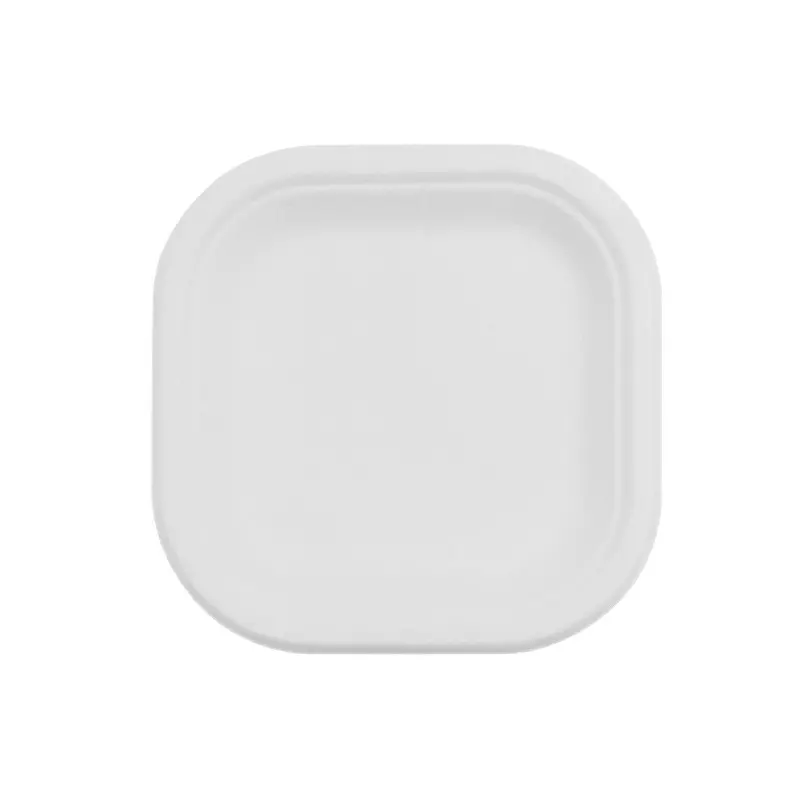 Eco Infinity Disposable Plate Square Shape White Sugarcane Bagasse 6 Inch (15.24 cm) Size for Serving Snack & Dinner Foods, (Pack of 100 Pcs)