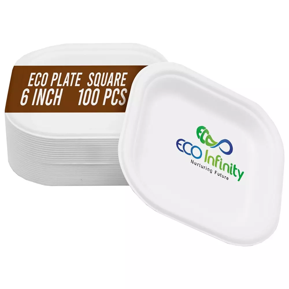 eco-infinity-disposable-plate-square-shape-white-sugarcane-bagasse-6-inch-1524-cm-size-size-for-serving-snack-dinner-foods-pack-of-100-pcs
