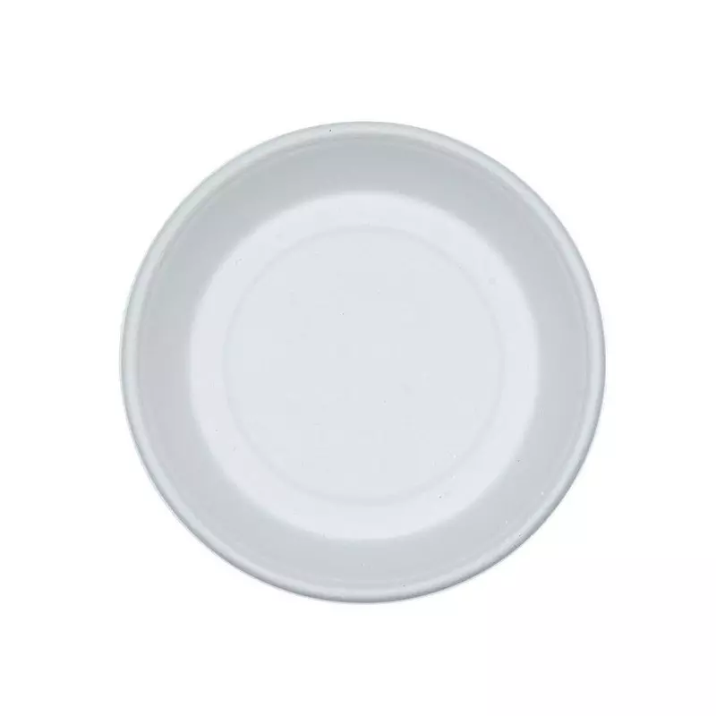 Eco Infinity Disposable Plate Round Shape White Sugarcane Bagasse 7 Inch (17.78 cm) Size for Serving Snack & Dinner Foods, (Pack of 100 Pcs)