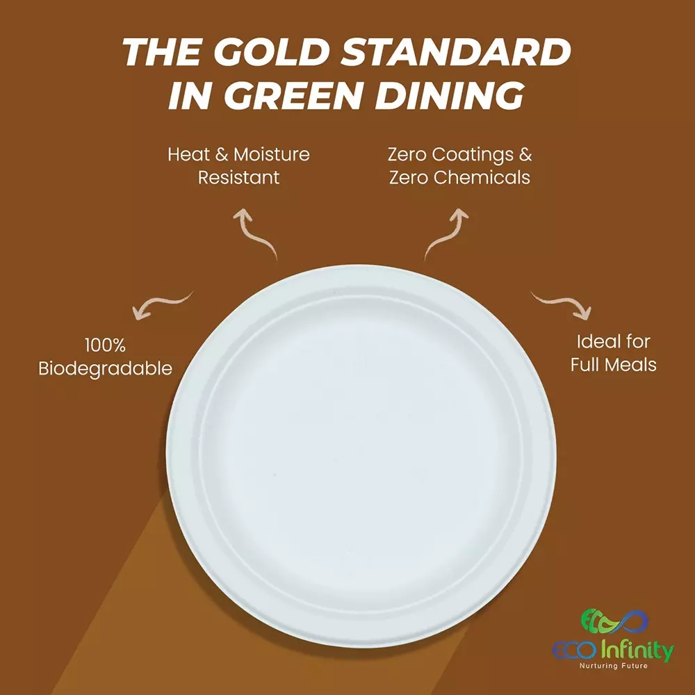 eco-infinity-disposable-plate-round-shape-white-sugarcane-bagasse-9-inch-2286-cm-size-for-serving-snack-dinner-foods-pack-of-25-pcs