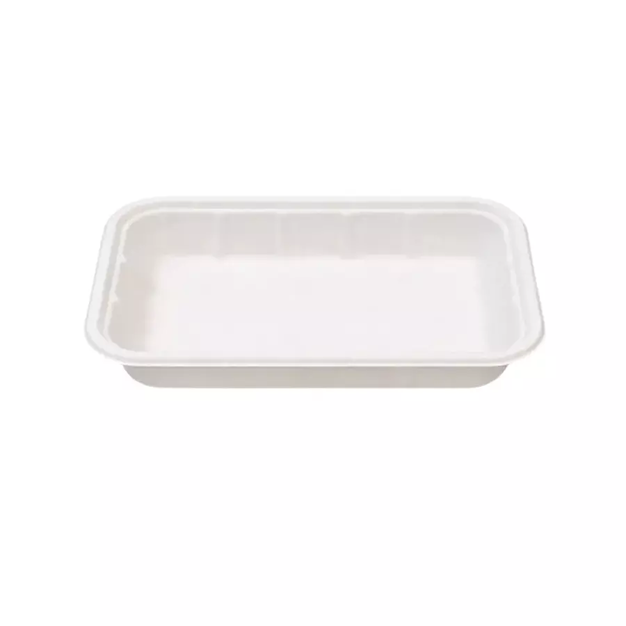 Eco Aaroyaa Plus Tray Sugarcane Bagasse Matte White Medium Size for Serving Snack & Foods, (Pack of 50 Pcs)