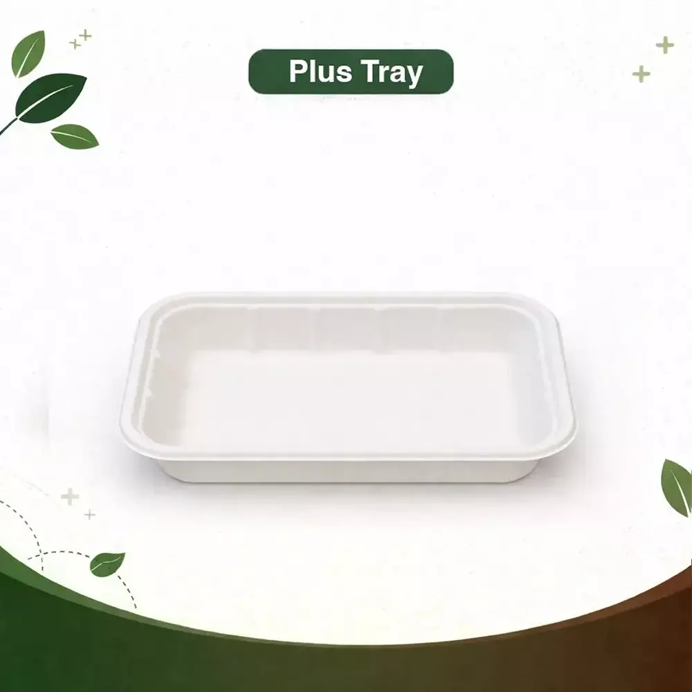 eco-aaroyaa-plus-tray-sugarcane-bagasse-matte-finish-white-medium-size-for-serving-snack-dinner-foods-pack-of-50-pcs
