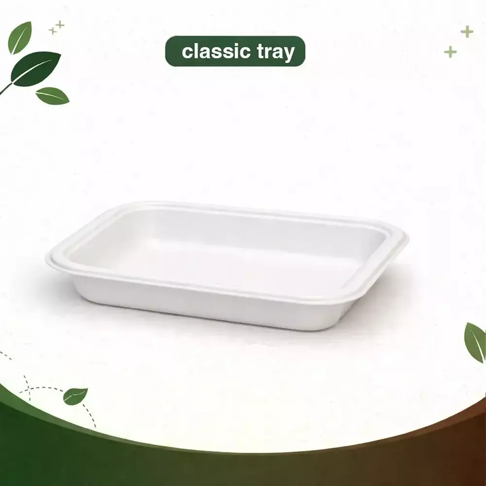 eco-aaroyaa-2d-classic-tray-sugarcane-bagasse-matte-finish-white-small-size-for-serving-snack-dinner-foods-pack-of-50-pcs