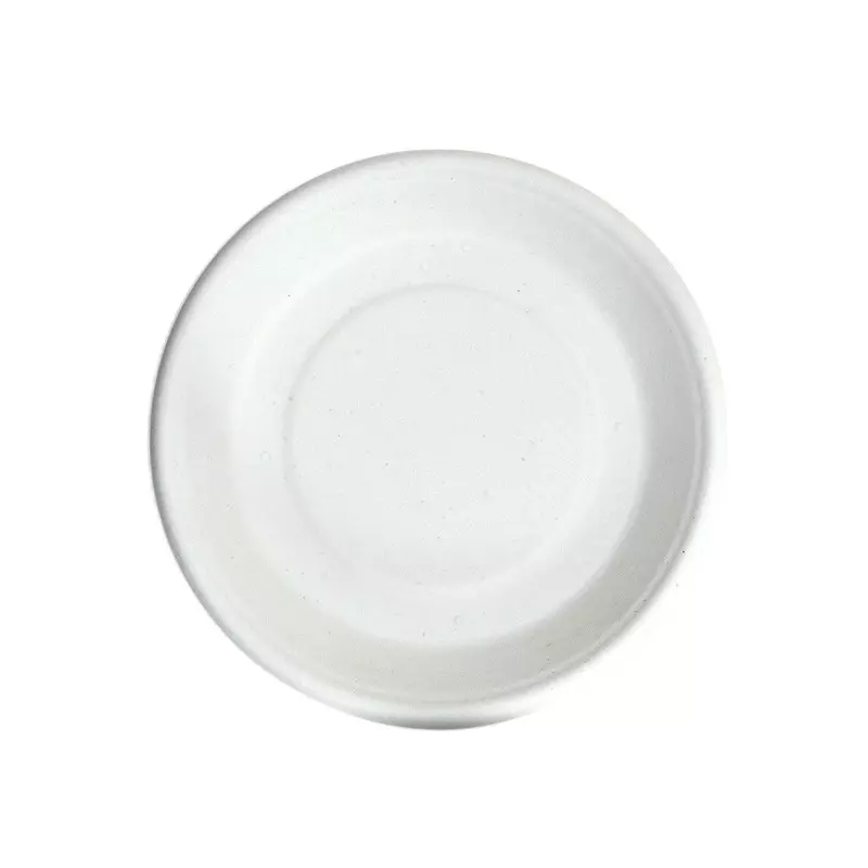 Eco Infinity Disposable Plate Round Shape White Sugarcane Bagasse 6 Inch (15.24 cm) Size for Serving Snack & Dinner Foods, (Pack of 100 Pcs)