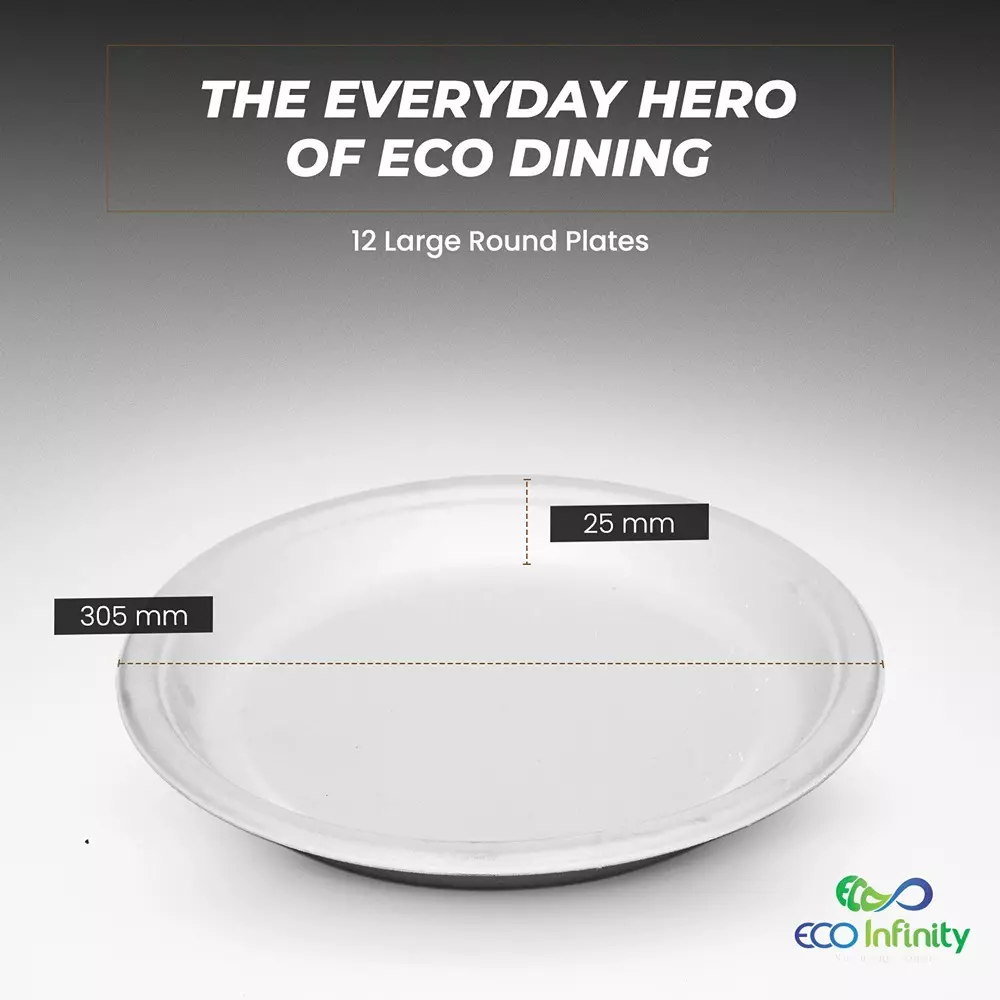 eco-infinity-disposable-plate-round-shape-white-sugarcane-bagasse-12-inch-3048-cm-size-for-serving-snack-dinner-foods-pack-of-25-pcs