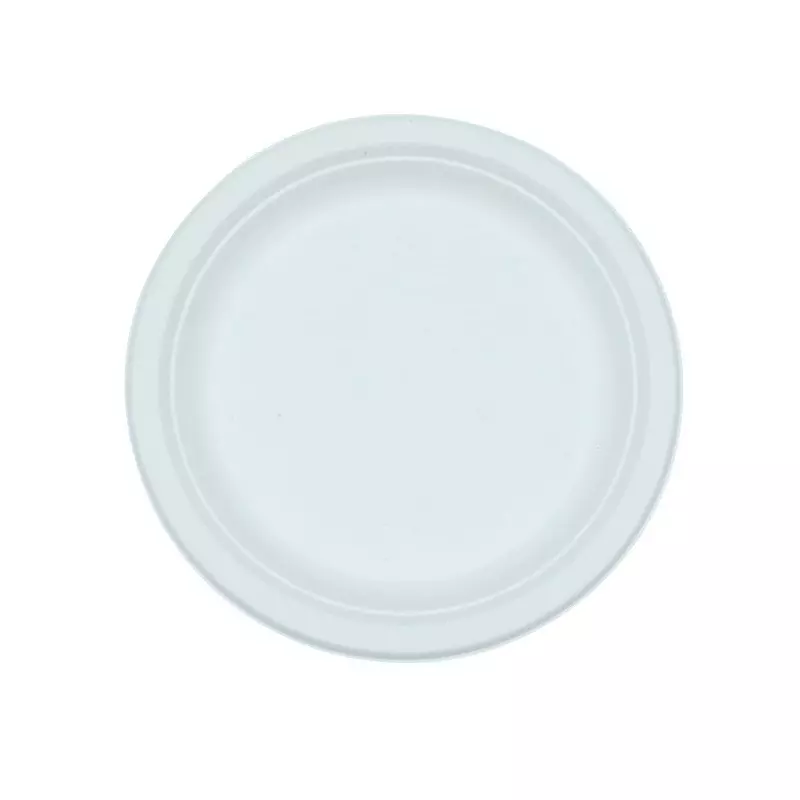 Eco Infinity Disposable Plate Round Shape White Sugarcane Bagasse 10 Inch (25.4 cm) Size for Serving Snack & Dinner Foods, (Pack of 25 Pcs)