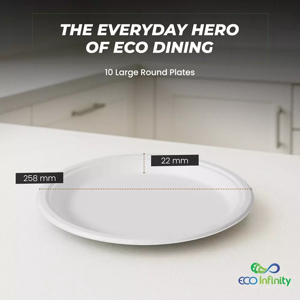 eco-infinity-disposable-plate-round-shape-white-sugarcane-bagasse-10-inch-254-cm-size-for-serving-snack-dinner-foods-pack-of-25-pcs