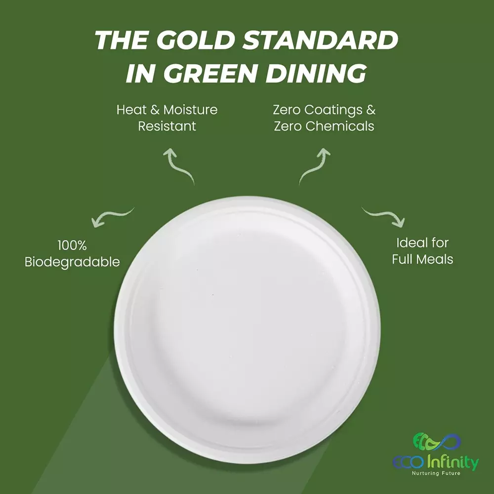 eco-infinity-disposable-plate-round-shape-white-sugarcane-bagasse-10-inch-254-cm-size-for-serving-snack-dinner-foods-pack-of-25-pcs