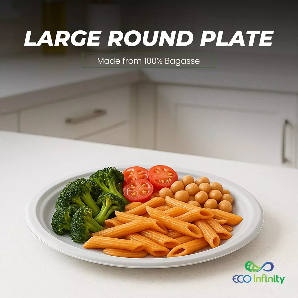 eco-infinity-disposable-plate-round-shape-white-sugarcane-bagasse-10-inch-254-cm-size-for-serving-snack-dinner-foods-pack-of-25-pcs
