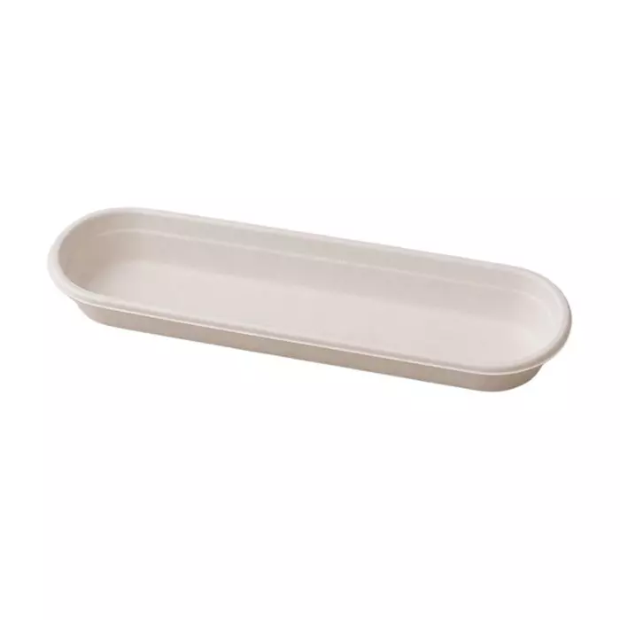 Eco Aaroyaa Shushi Tray Sugarcane Bagasse White for Serving Snack & Foods, (Pack of 50 Pcs)