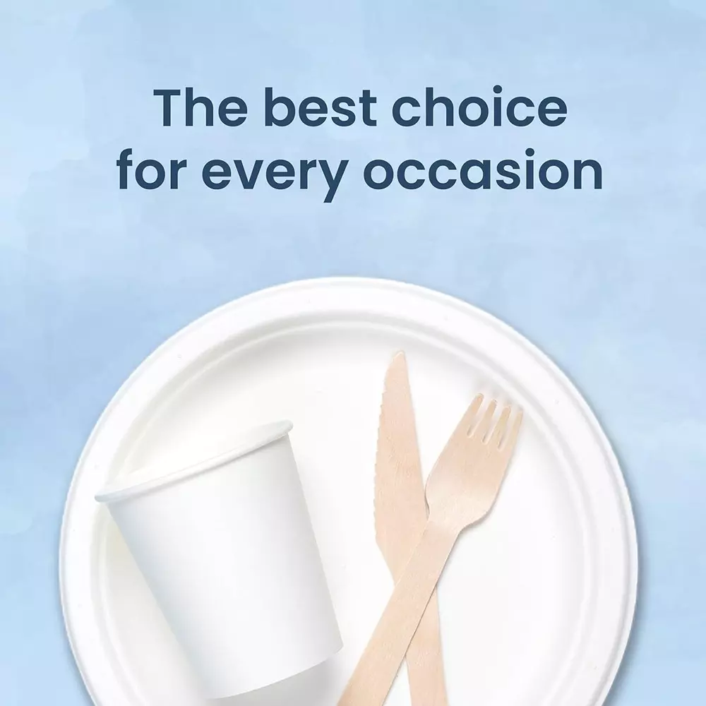 Origami Pulp Plates 279 mm (11 inch) Biodegradable & Eco-friendly Sugarcane Paper White, 577 (Pack of 5 Packets)