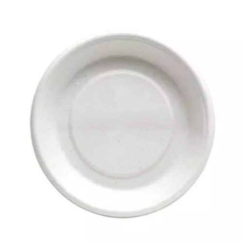 Eco Infinity Disposable Plate Round Shape White Sugarcane Bagasse 6 Inch (15.24 cm) Size for Serving Snack & Dinner Foods, (Pack of 50 Pcs)