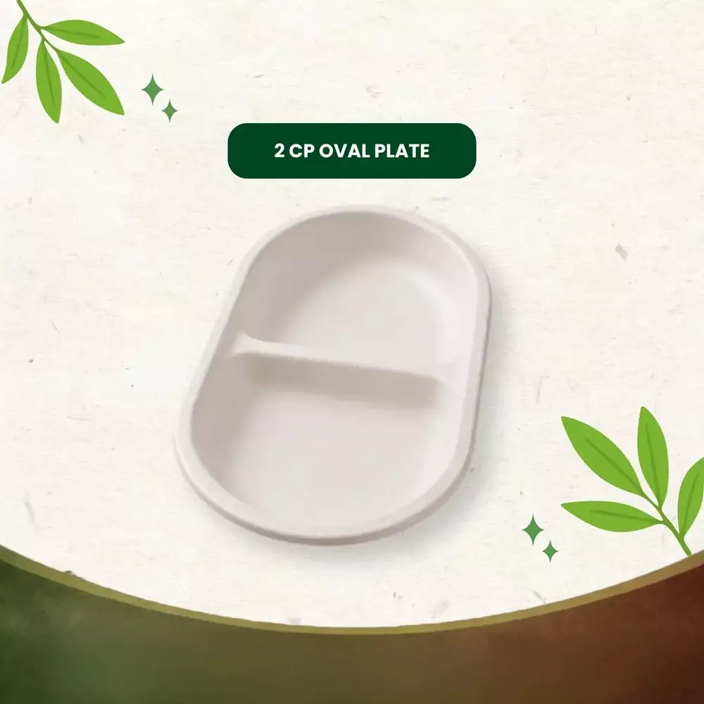 eco-aaroyaa-2-compartment-disposable-plate-sugarcane-bagasse-white-oval-shape-for-serving-snack-dinner-foods-pack-of-25-pcs