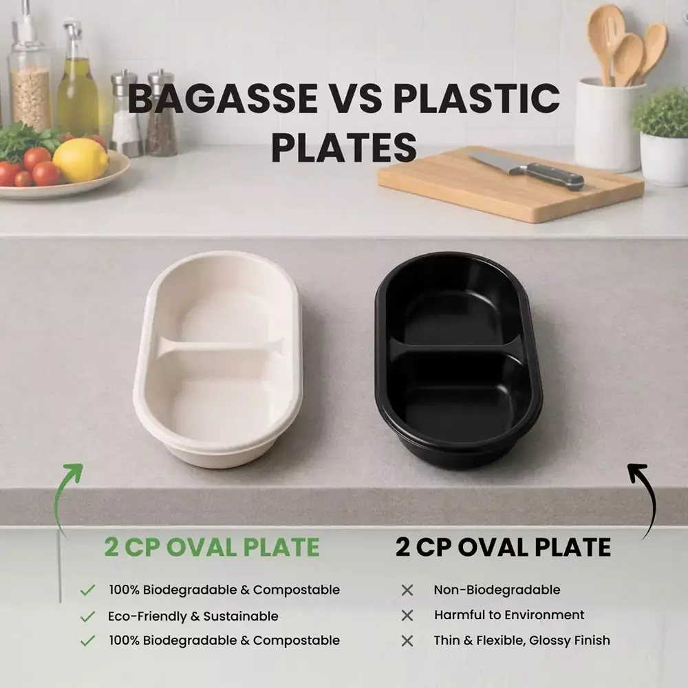eco-aaroyaa-2-compartment-disposable-plate-sugarcane-bagasse-white-oval-shape-for-serving-snack-dinner-foods-pack-of-25-pcs
