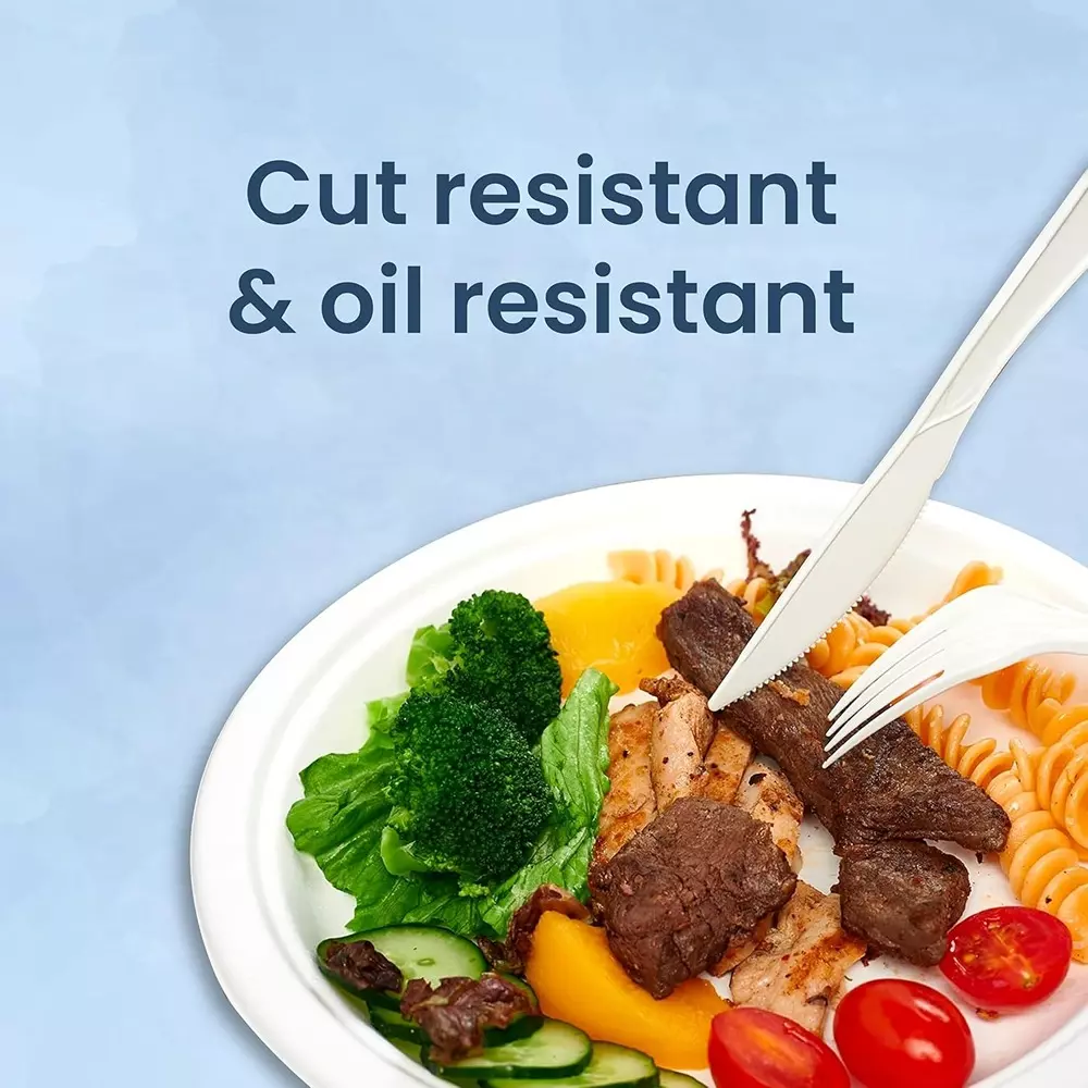 Origami Pulp Plates 228 mm (9 inch) Biodegradable & Eco-friendly Sugarcane Paper White, 560 (Pack of 6 Packets)