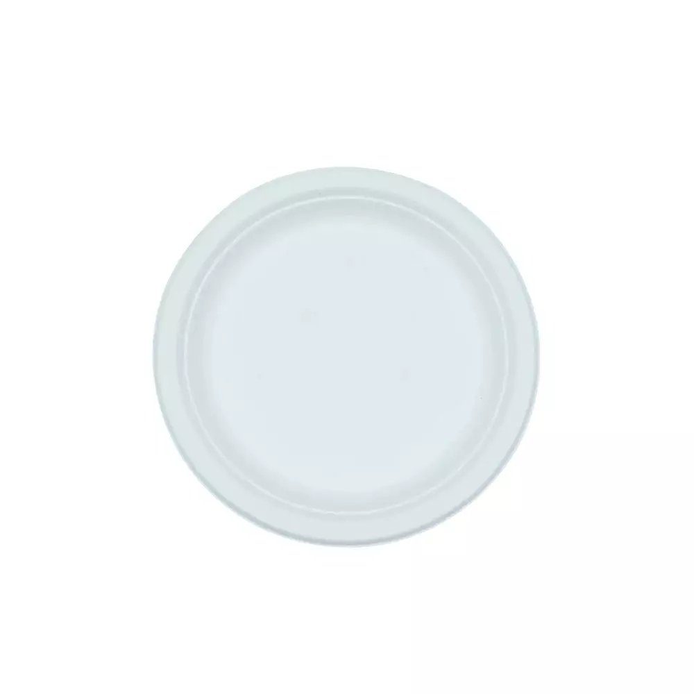 Eco Infinity Disposable Dinner Plate Round White 304.8 mm (12 Inch) Plate Size (Pack of 100)