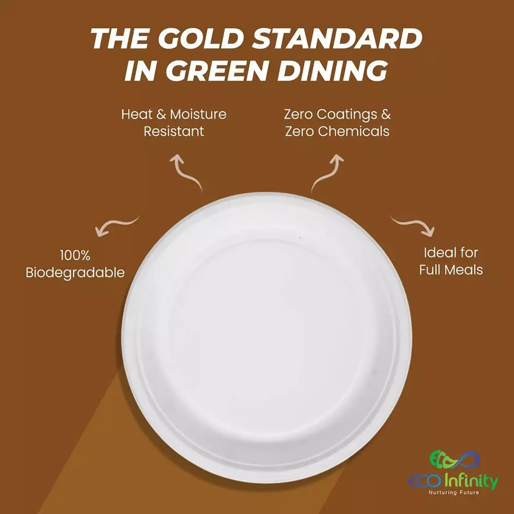 eco-infinity-disposable-dinner-plate-round-white-3048-mm-12-inch-plate-size-pack-of-100