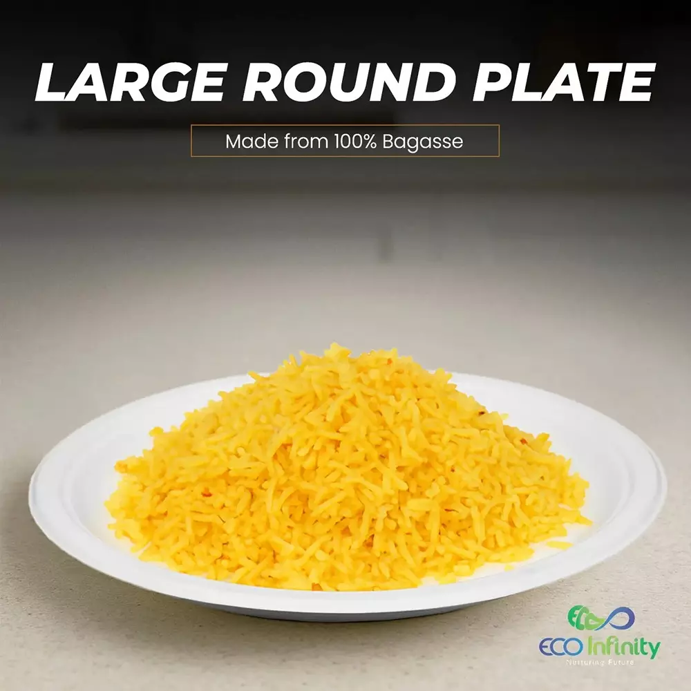 eco-infinity-disposable-dinner-plate-round-white-3048-mm-12-inch-plate-size-pack-of-100