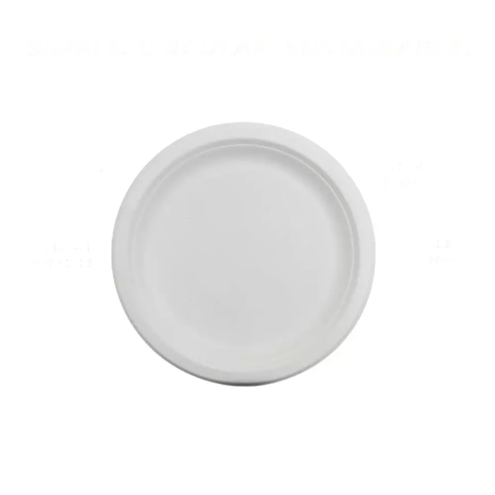 Eco Infinity Disposable Dinner Plate Round White 152.4 mm (6 Inch) Plate Size (Pack of 100)