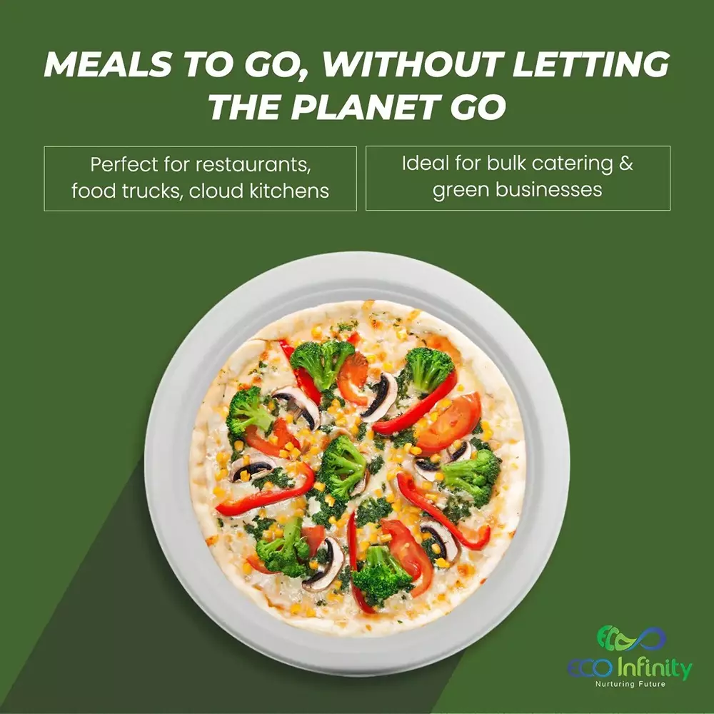 eco-infinity-disposable-dinner-plate-round-white-1524-mm-6-inch-plate-size-pack-of-100