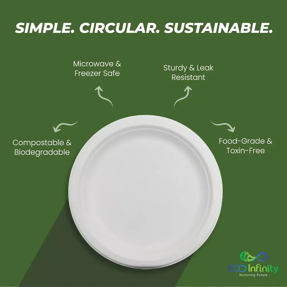 eco-infinity-disposable-dinner-plate-round-white-1524-mm-6-inch-plate-size-pack-of-100