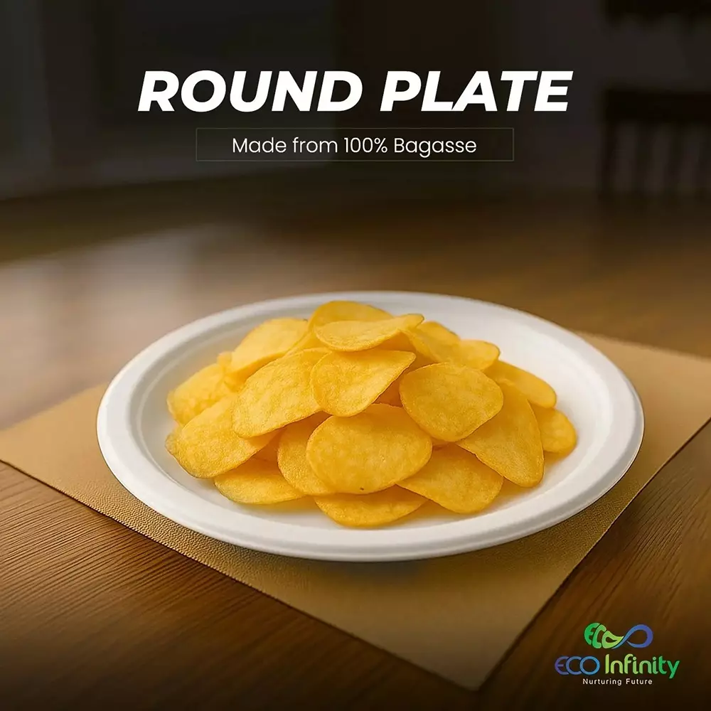 eco-infinity-disposable-dinner-plate-round-white-1524-mm-6-inch-plate-size-pack-of-100