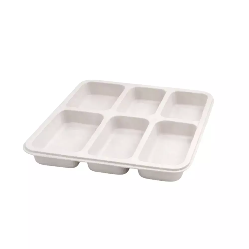 Eco Aaroyaa 6 Compartment Disposable Meal Tray Sugarcane Bagasse Matte White Square for Serving Snack & Foods, (Pack of 25 Pcs)