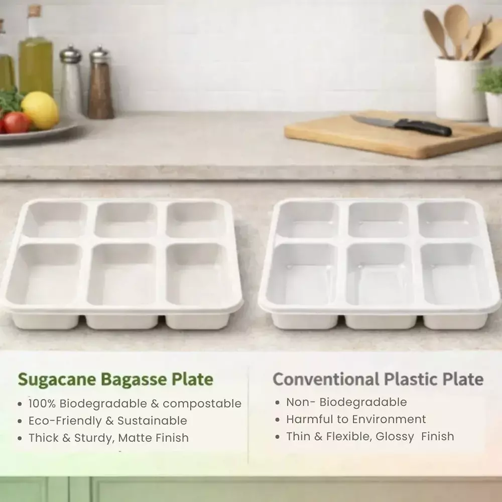 eco-aaroyaa-6-compartment-disposable-meal-tray-sugarcane-bagasse-matte-finish-white-square-shape-for-serving-snack-dinner-foods-pack-of-25-pcs