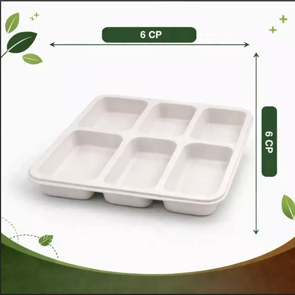 eco-aaroyaa-6-compartment-disposable-meal-tray-sugarcane-bagasse-matte-finish-white-square-shape-for-serving-snack-dinner-foods-pack-of-25-pcs