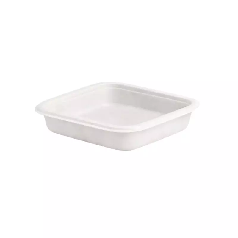 Eco Aaroyaa 1 Compartment Disposable Plate Sugarcane Bagasse Matte White Square 7 Inch (17.78 cm) for Serving Snack & Foods, (Pack of 50 Pcs)