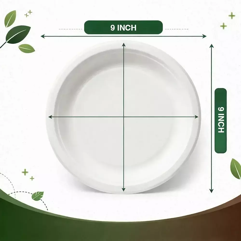 eco-aaroyaa-1-compartment-disposable-plate-sugarcane-bagasse-matte-finish-white-round-shape-9-inch-2286-cm-size-for-serving-snack-dinner-foods-pack-of-25-pcs