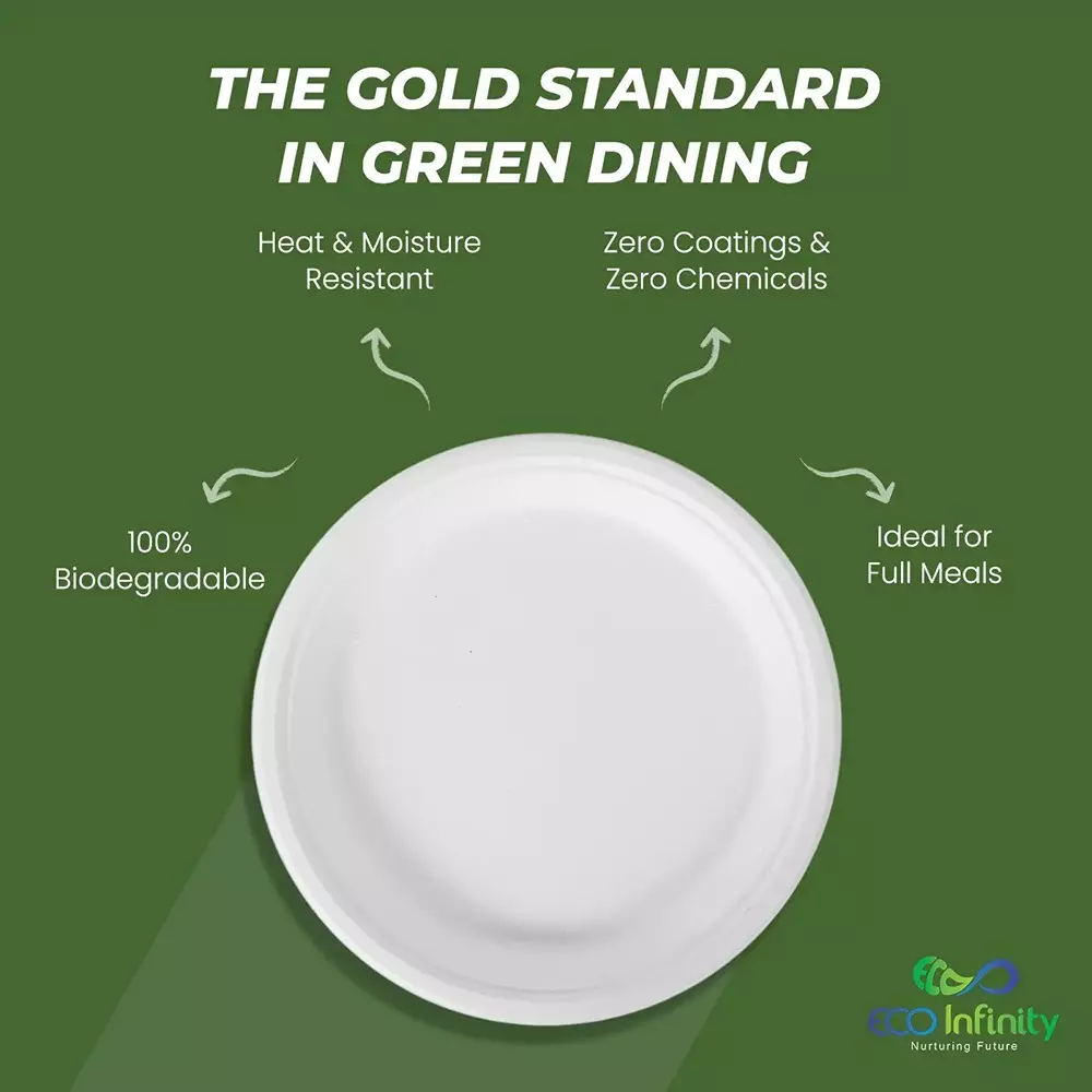 eco-infinity-disposable-dinner-plate-round-white-254-mm-10-inch-plate-size-pack-of-100